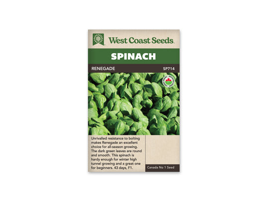 Spinach "Renegade F1 Coated Organic" West Coast Seeds