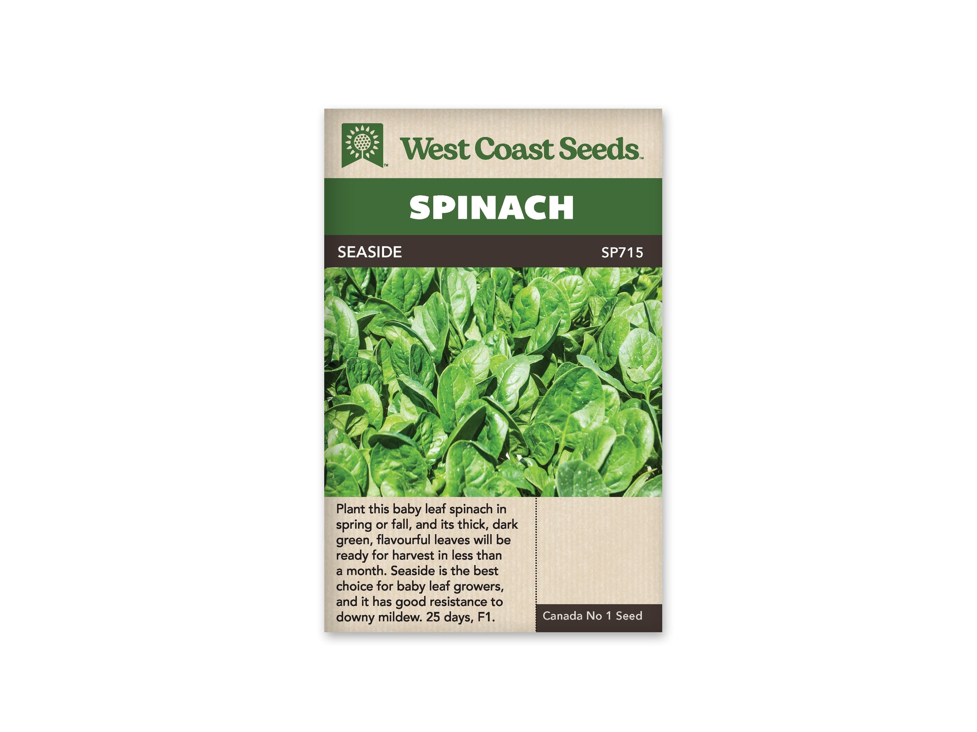 Spinach “Seaside F1” West Coast Seeds