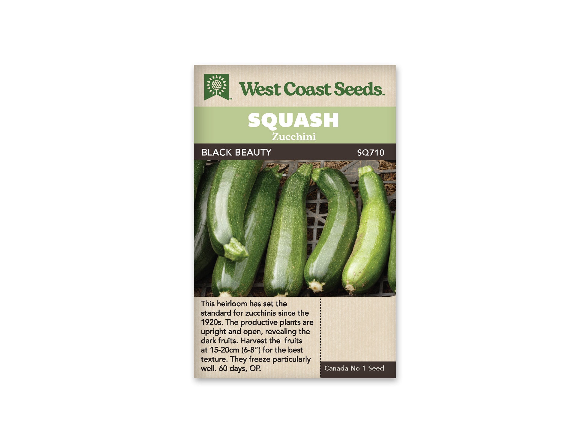 Squash-Summer "Black Beauty" West Coast Seeds
