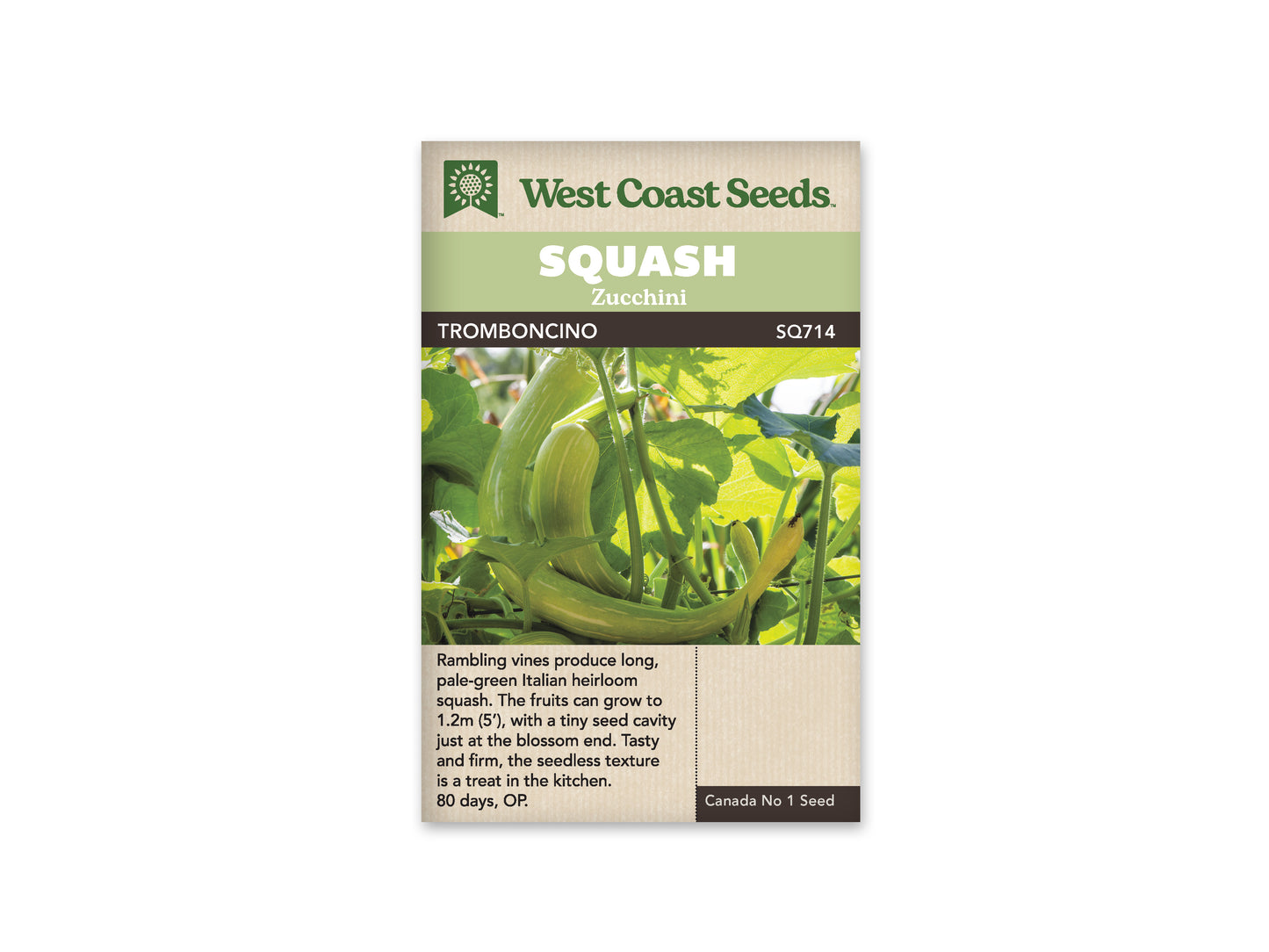 Squash-Summer "Tromboncino" West Coast Seeds