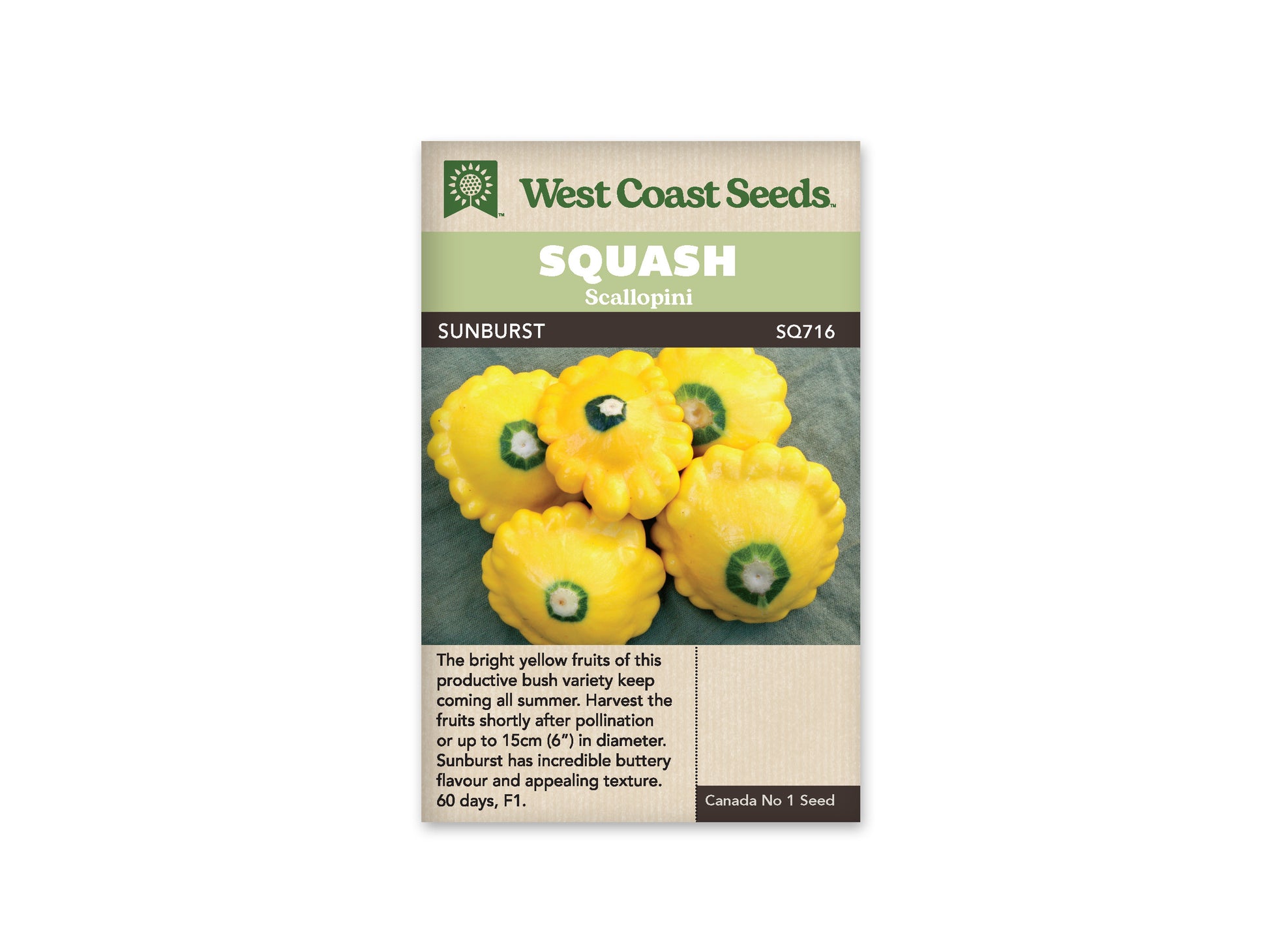 Squash-Summer "Sunburst F1" West Coast Seeds
