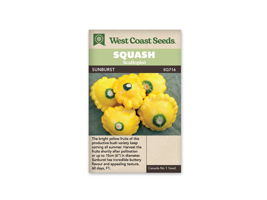 Summer Squash "Sunburst F1" West Coast Seeds