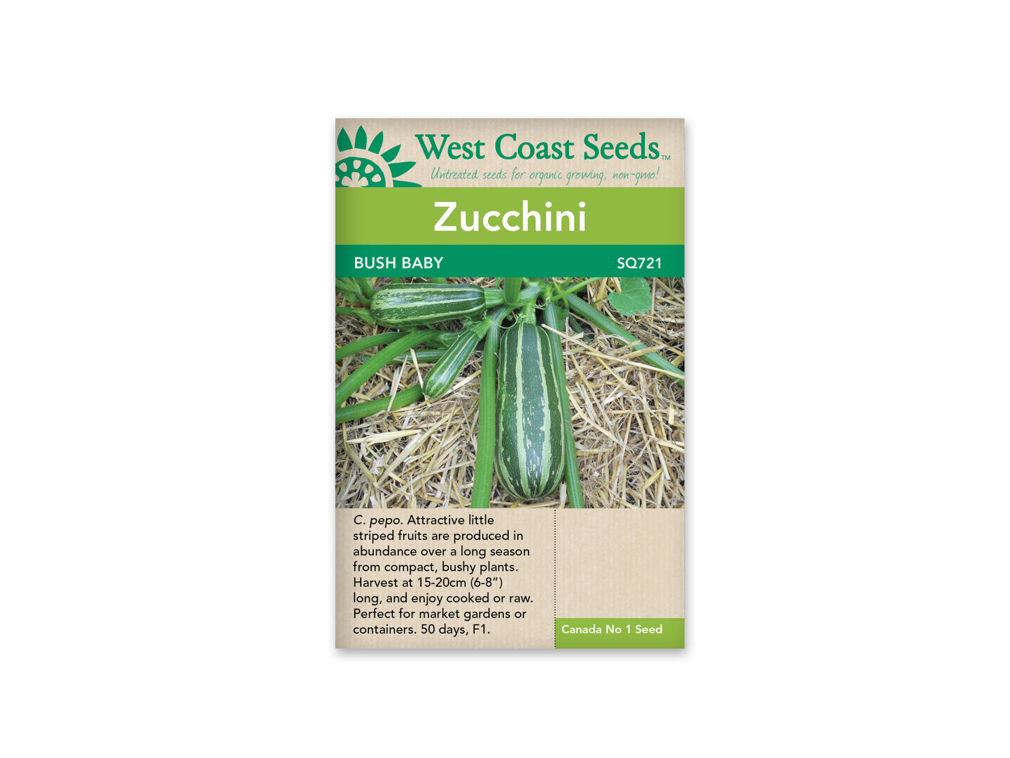 Squash “Bush Baby F1” West Coast Seeds