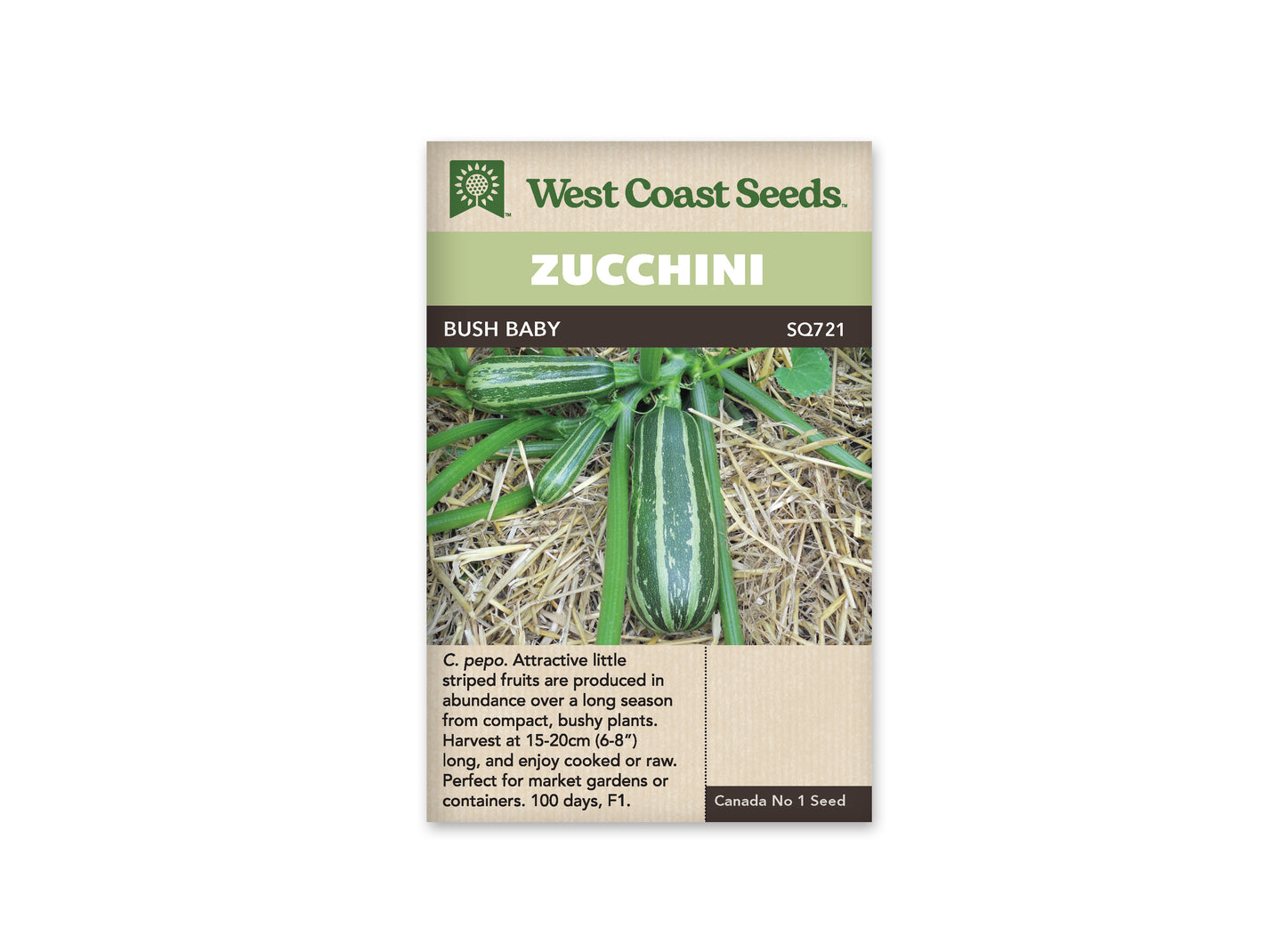 Squash “Bush Baby F1” West Coast Seeds