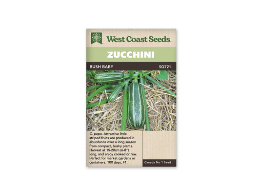 Squash “Bush Baby F1” West Coast Seeds
