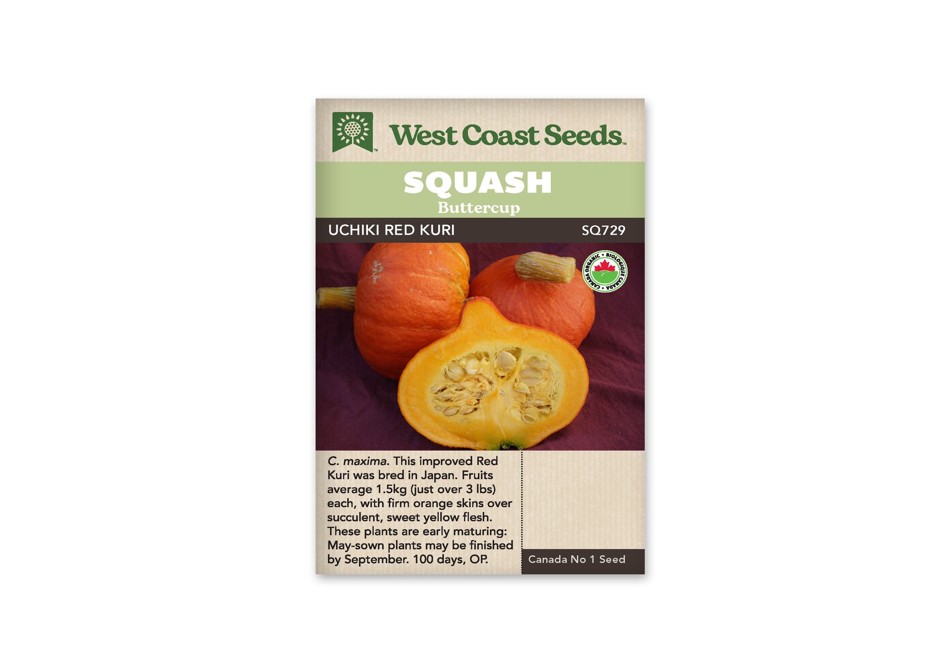 Winter Squash “Uchiki Red Kuri Organic” West Coast Seeds