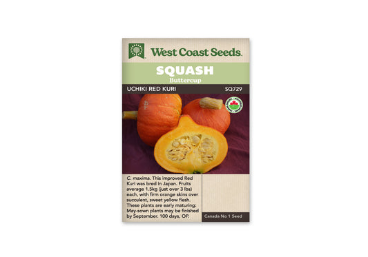 Winter Squash “Uchiki Red Kuri Organic” West Coast Seeds