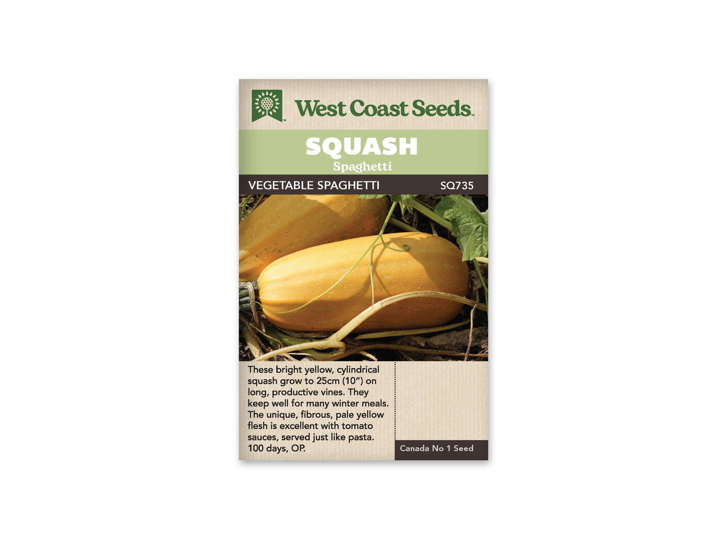 Winter Squash “Spaghetti Squash” West Coast Seeds