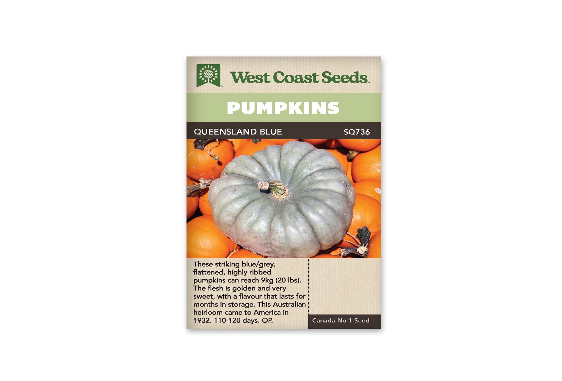 Winter Squash “Queensland Blue” West Coast Seeds