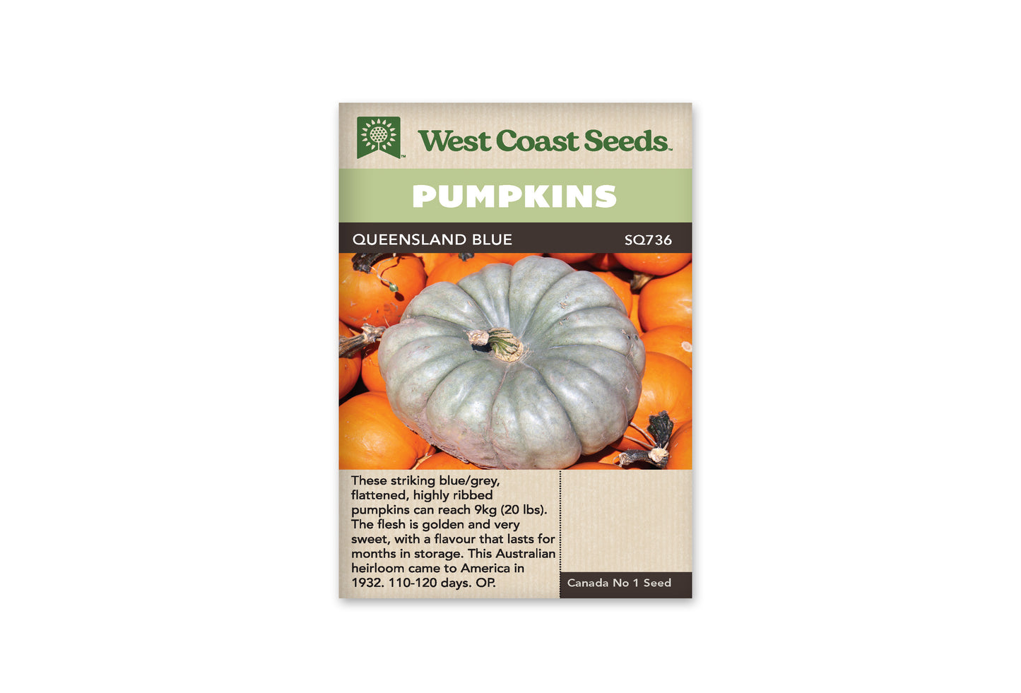 Winter Squash “Queensland Blue” West Coast Seeds