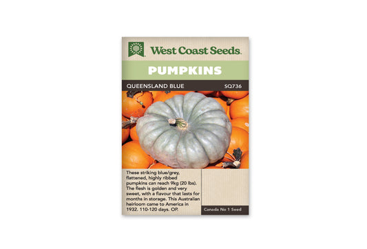 Winter Squash “Queensland Blue” West Coast Seeds