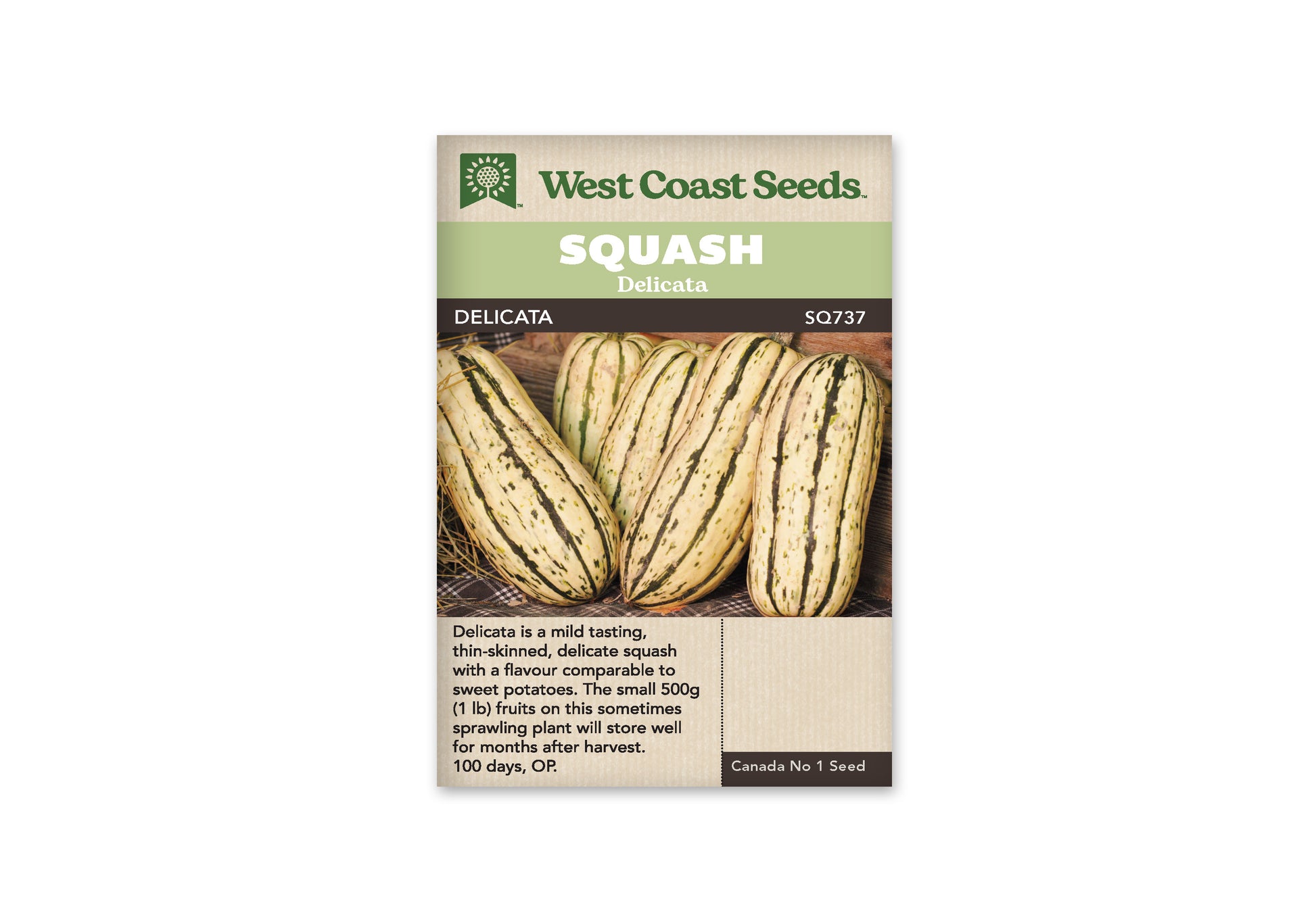 Squash-Winter "Delicata" West Coast Seeds