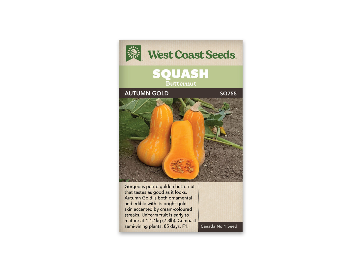 Squash-Winter "Autumn Gold F1" West Coast Seeds