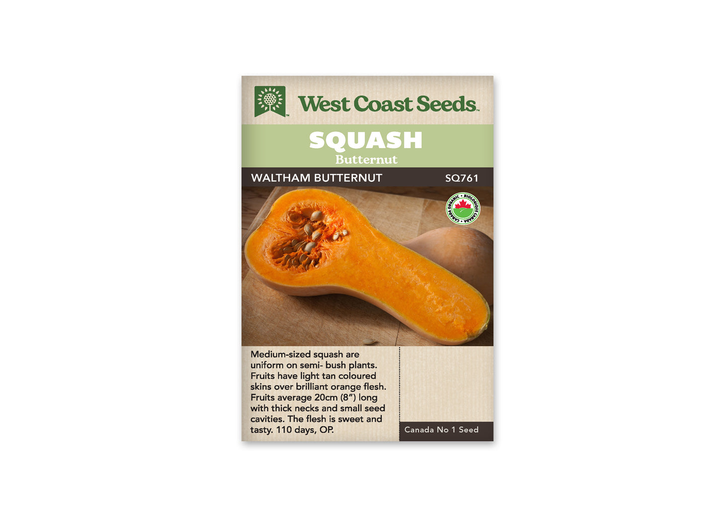 Winter Squash "Waltham Organic" West Coast Seeds