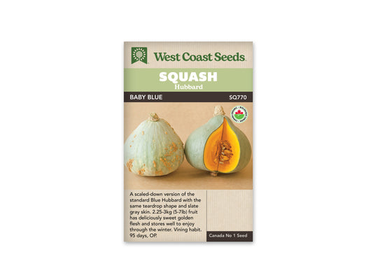 Winter Squash "Baby Blue Organic" West Coast Seeds