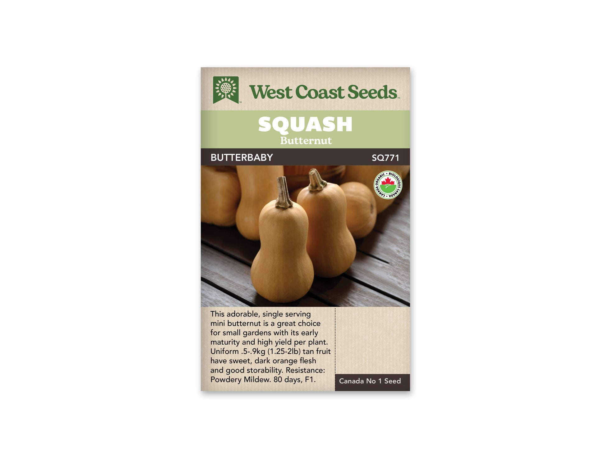 Winter Squash "Butterbaby F1 Organic" West Coast Seeds