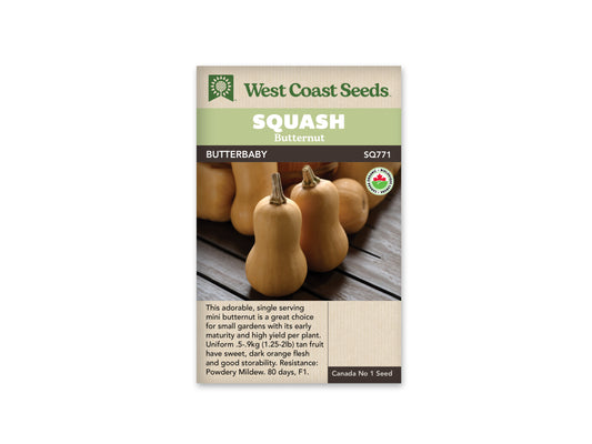 Winter Squash "Butterbaby F1 Organic" West Coast Seeds