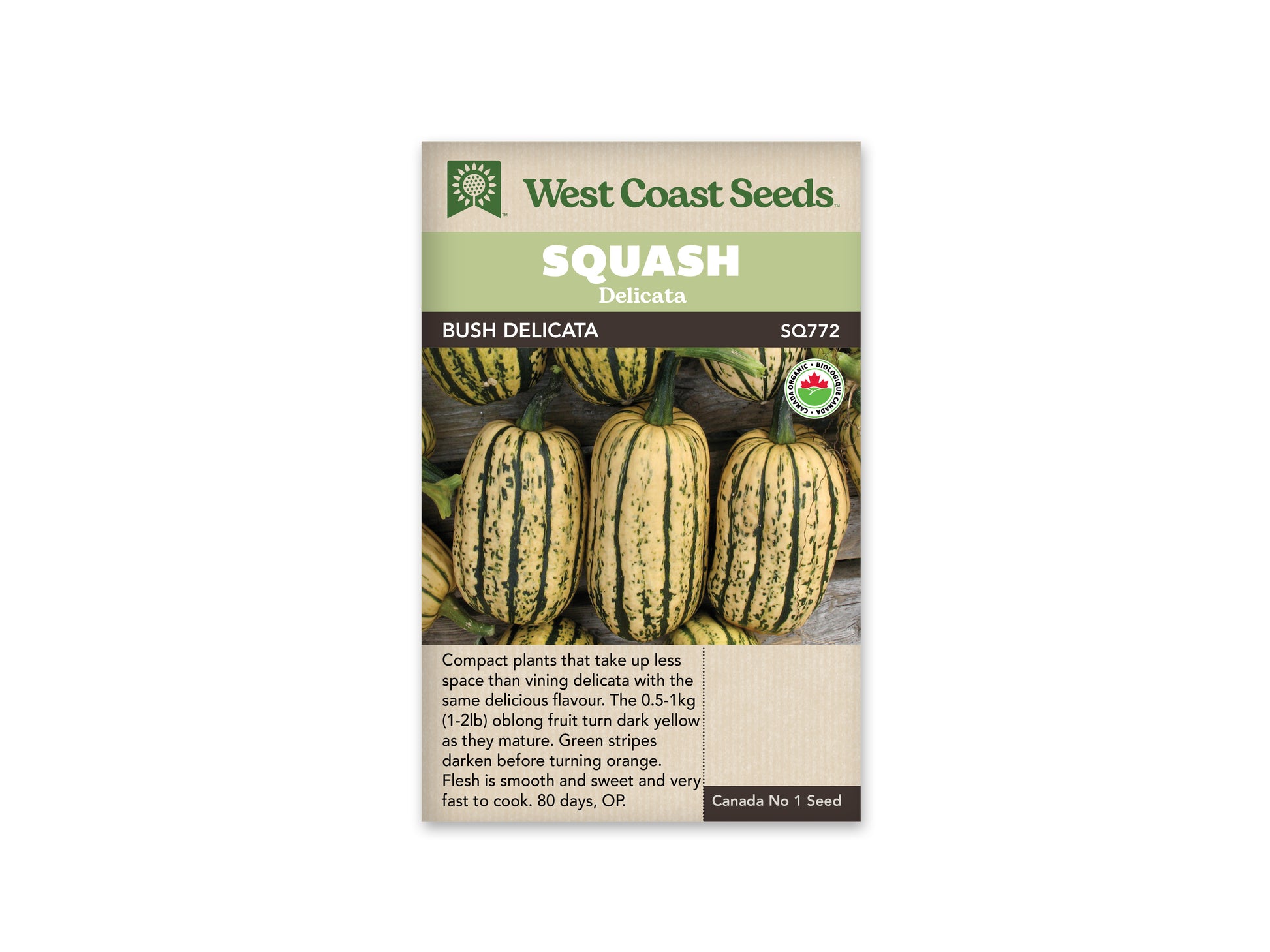 Winter Squash “Bush Delicata Organic” West Coast Seeds
