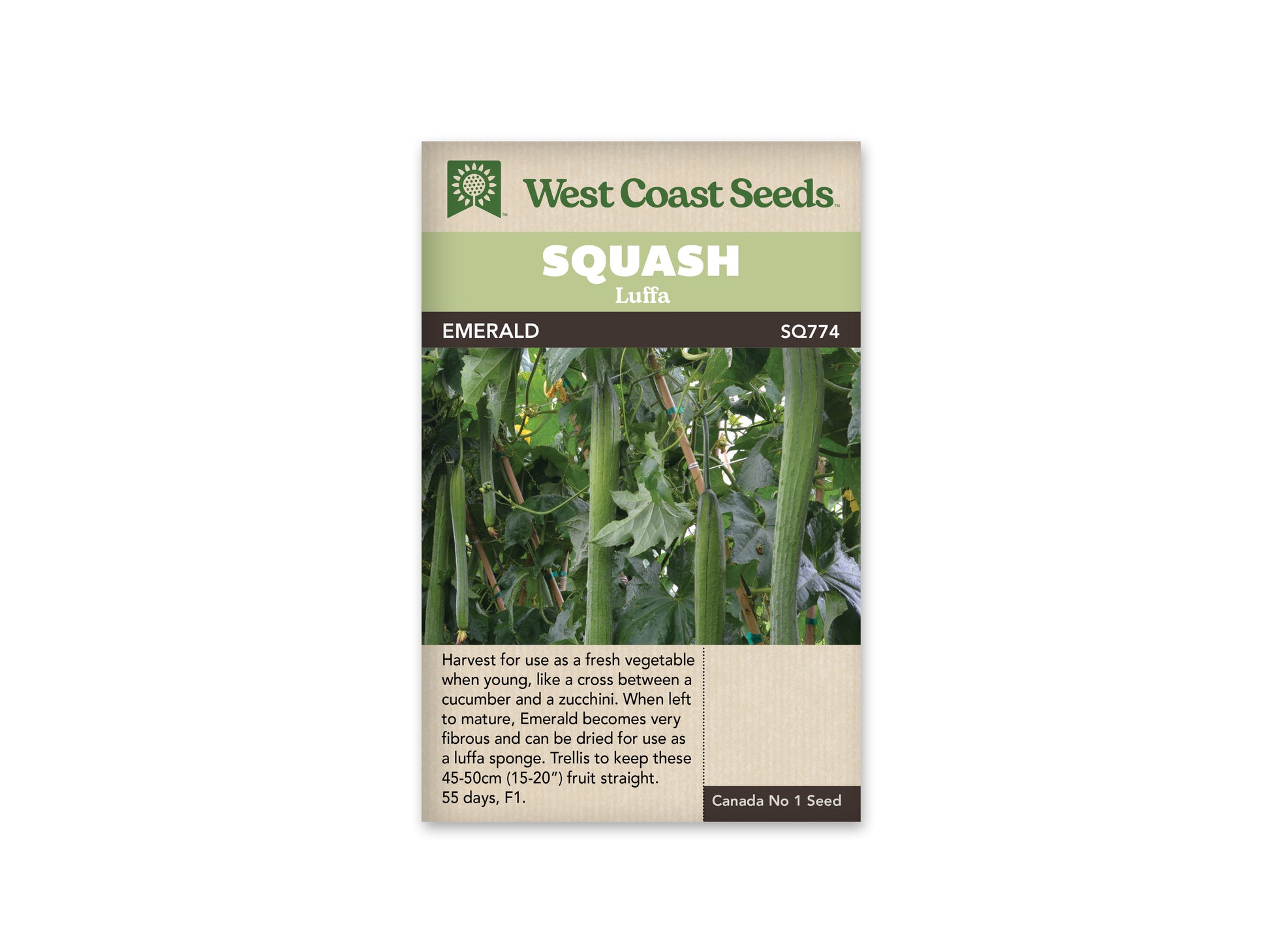 Squash-Specialty Luffa "Emerald F1" West Coast Seeds