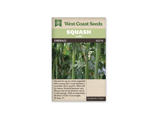 Specialty Squash Luffa "Emerald F1" West Coast Seeds