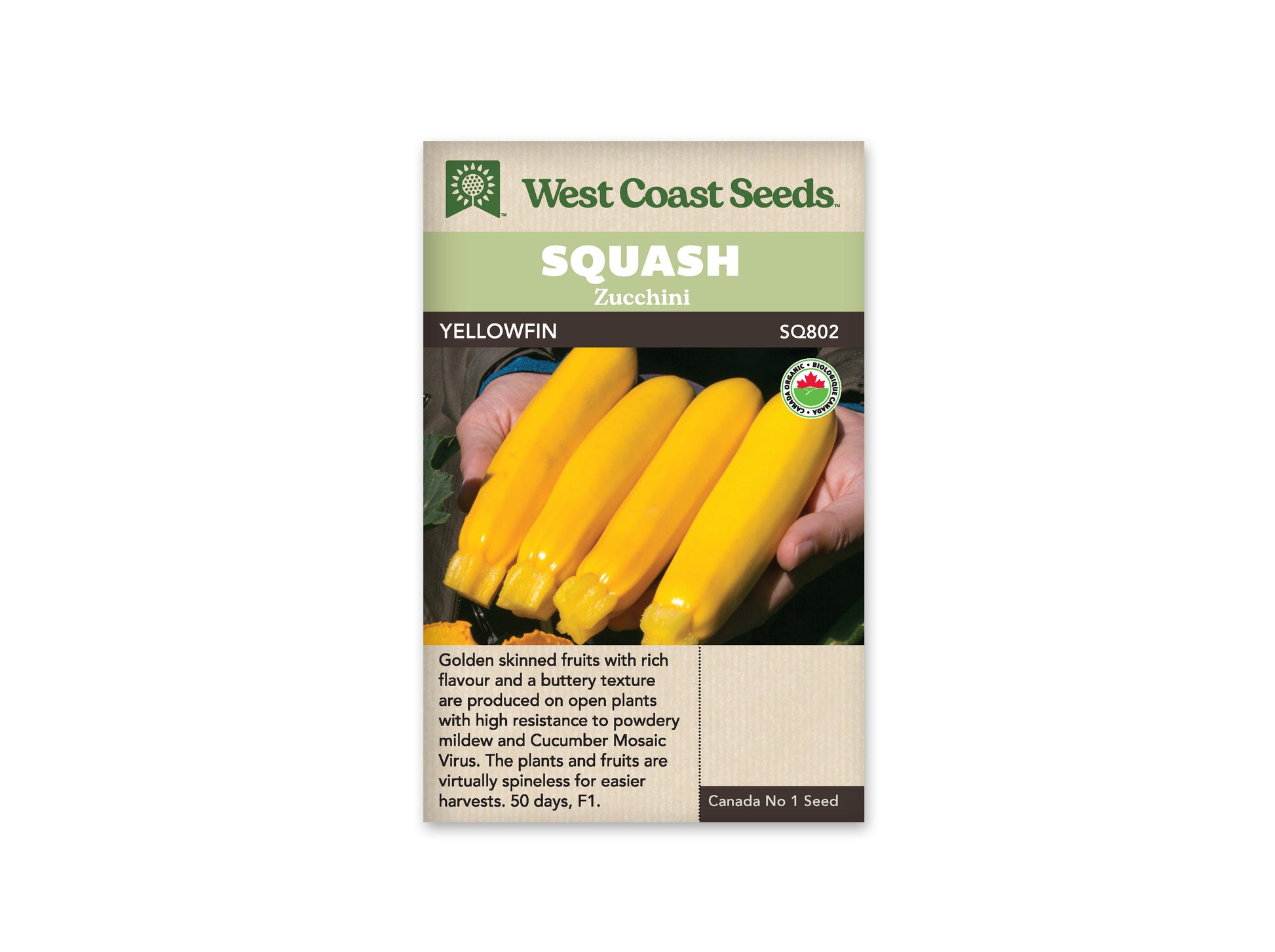 Summer Squash "Yellowfin F1 Organic" West Coast Seeds