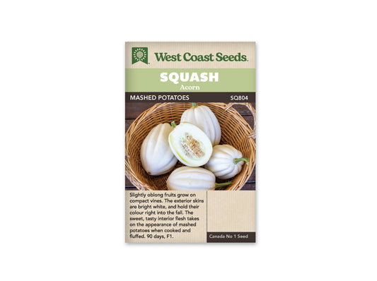 Winter Squash "Mashed Potatoes F1" West Coast Seeds