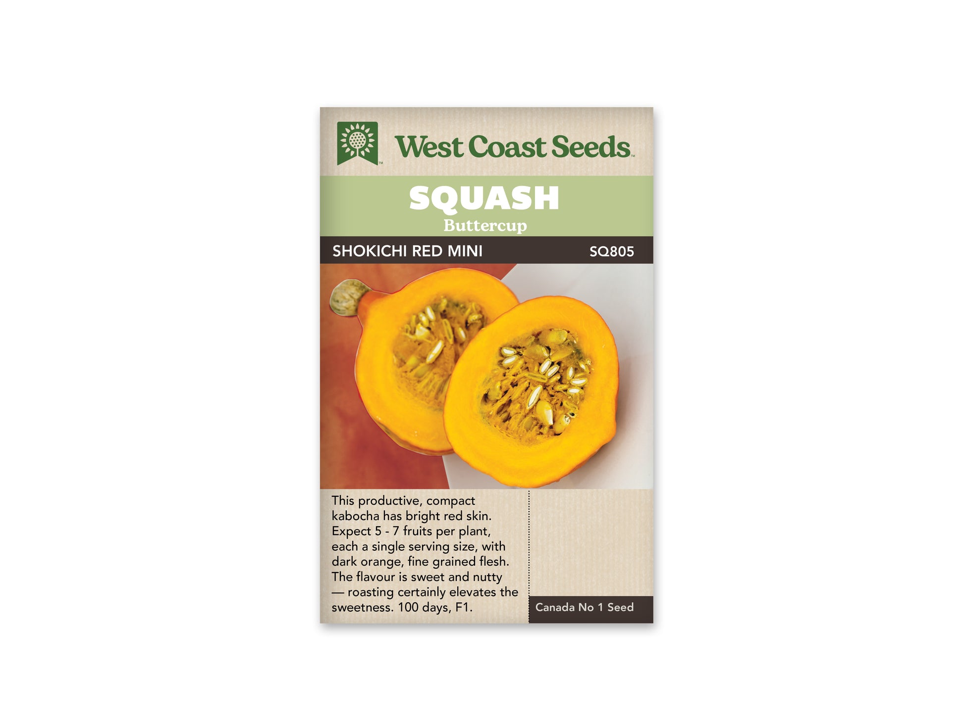 Winter Squash “Shokichi Red F1” West Coast Seeds