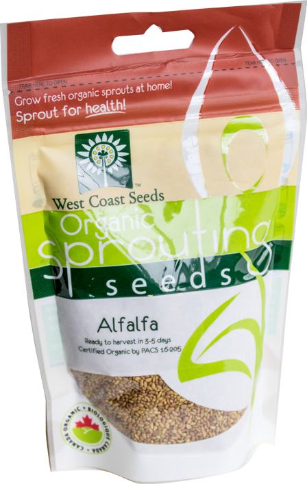 Alfalfa Sprouting West Coast Seeds