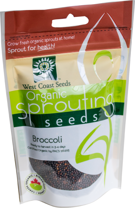 Broccoli Sprouting West Coast Seeds