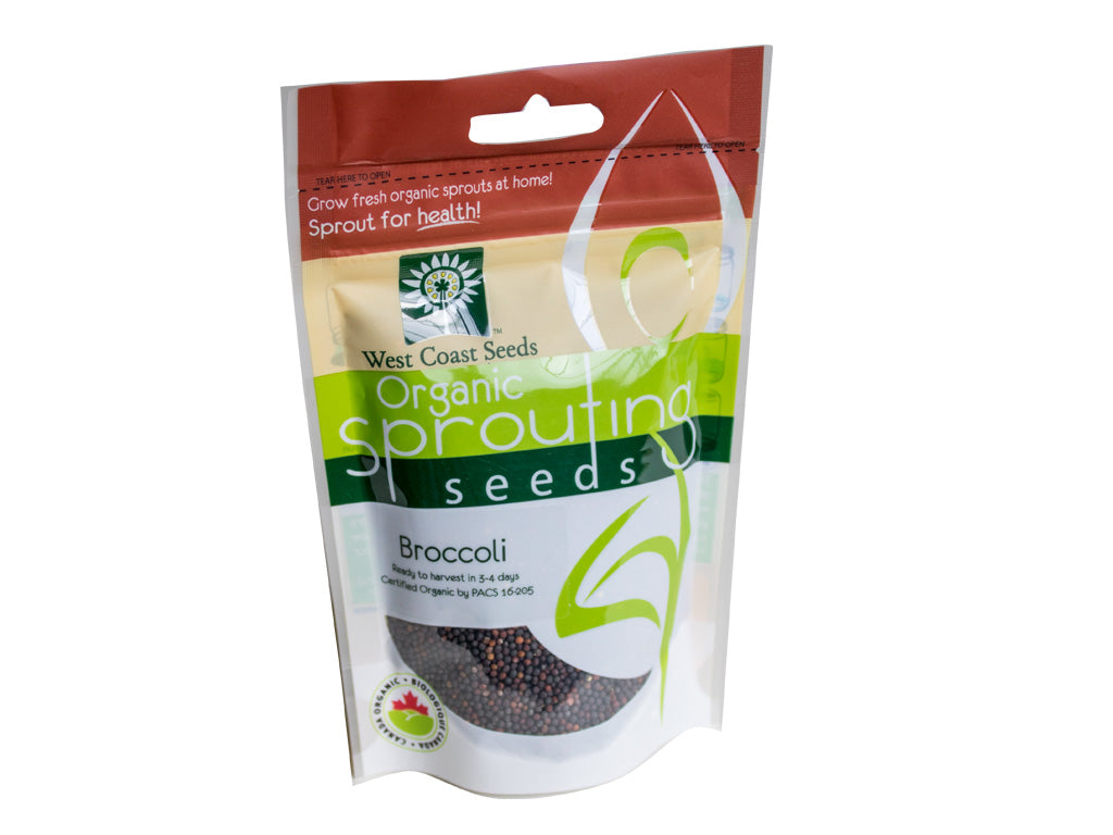 Broccoli Sprouting Organic West Coast Seeds