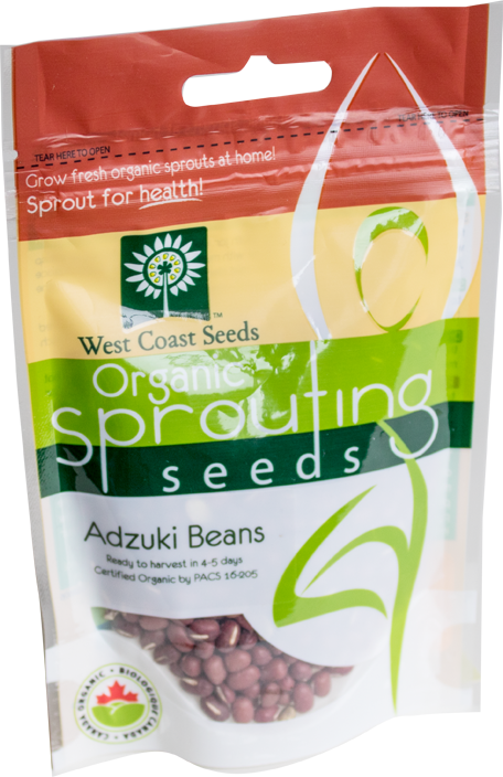 Adzuki Beans Sprouting West Coast Seeds