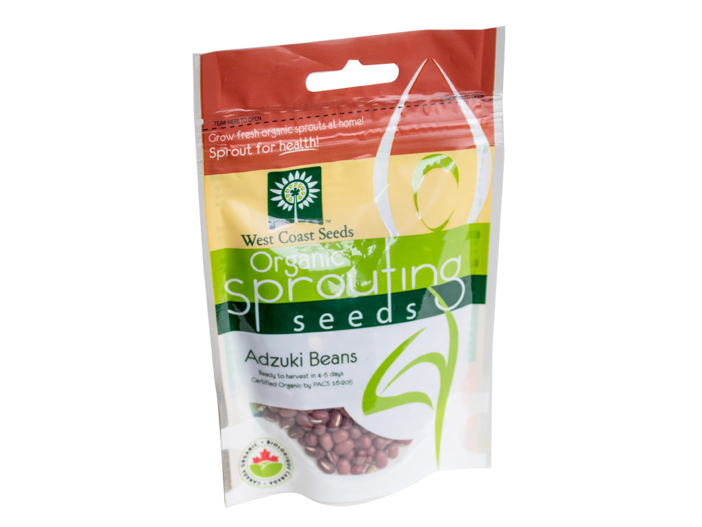Adzuki Beans Sprouting West Coast Seeds