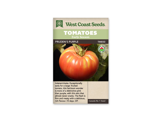 Tomatoes “Pruden's Purple Organic” West Coast Seeds